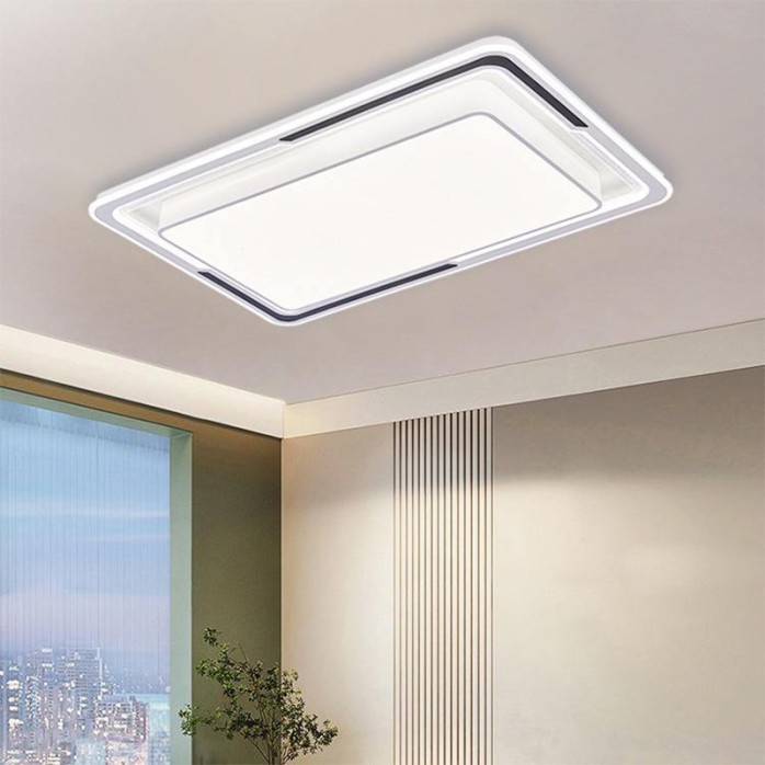 Modern minimalist black and white home decoration ceiling lamp