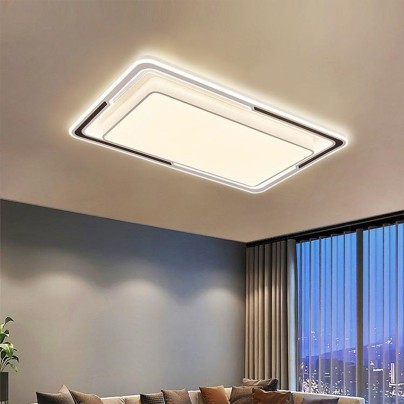 Modern minimalist black and white home decoration ceiling lamp