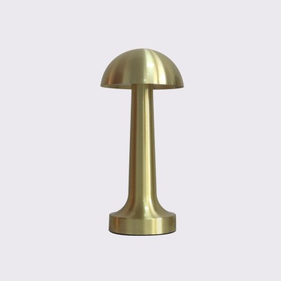 Modern metal rechargeable adjustable desk lamp