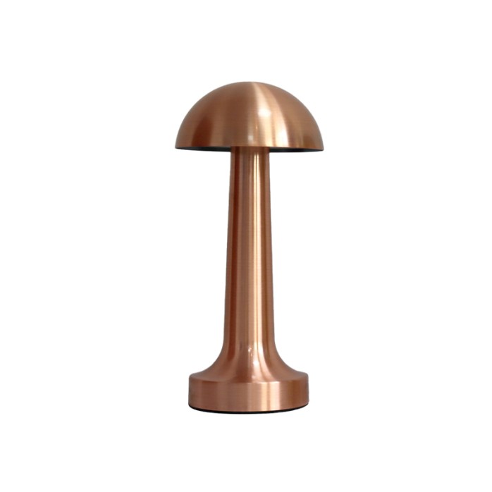 Modern metal rechargeable adjustable desk lamp